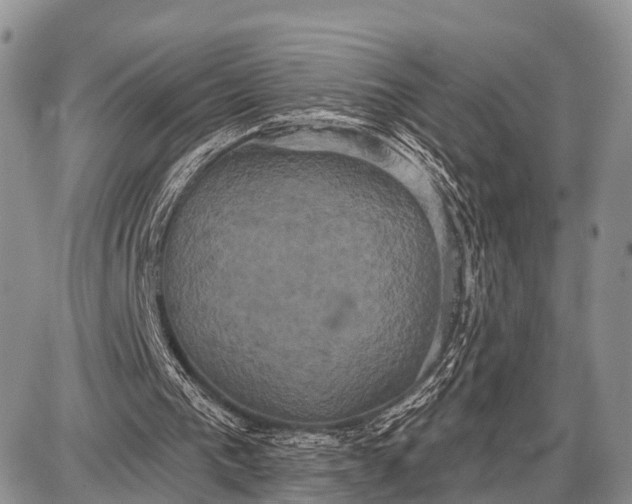 X0000087700193200705181828