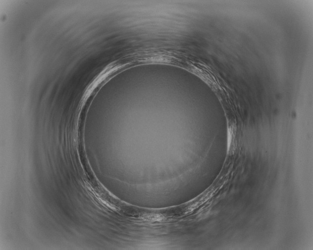 X0000087700195200705181828