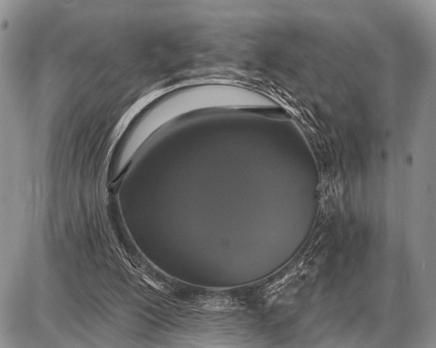 X0000087700200200705181828