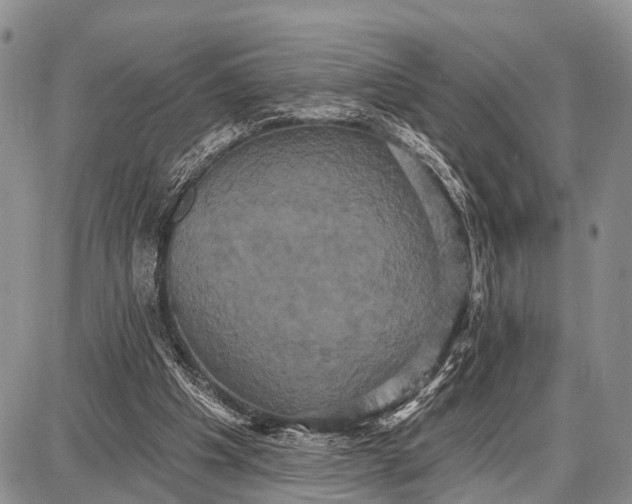 X0000087700201200705181828