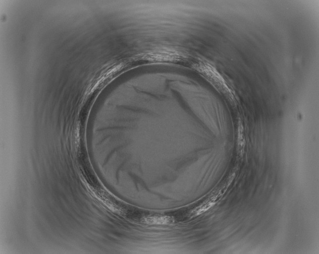 X0000087700202200705181828