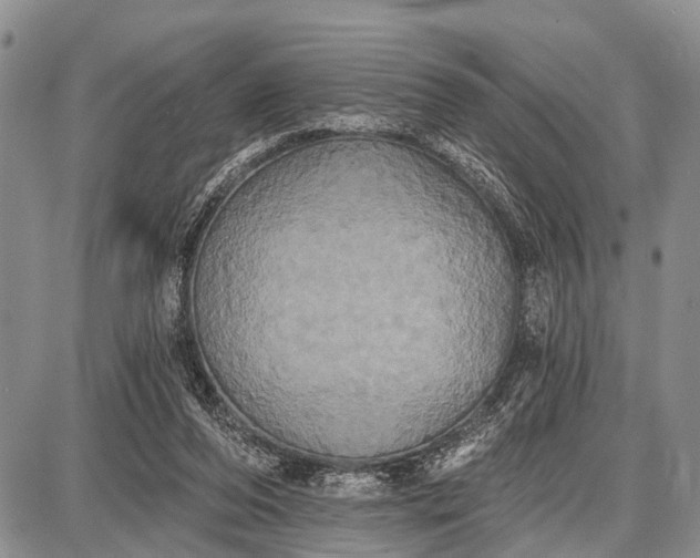 X0000087700208200705181828
