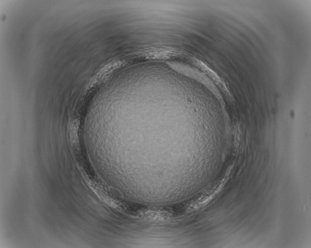 X0000087700209200705181828