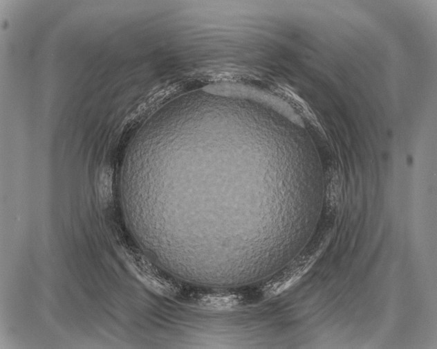 X0000087700213200705181828