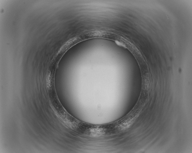 X0000087700216200705181828