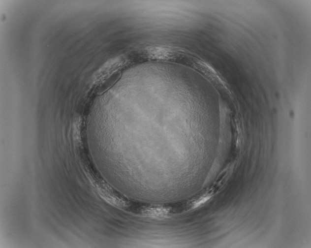 X0000087700217200705181828
