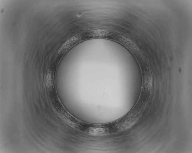 X0000087700220200705181828