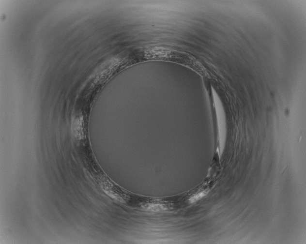 X0000087700224200705181828