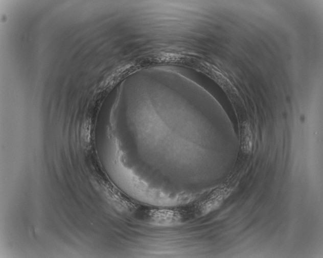 X0000087700230200705181827