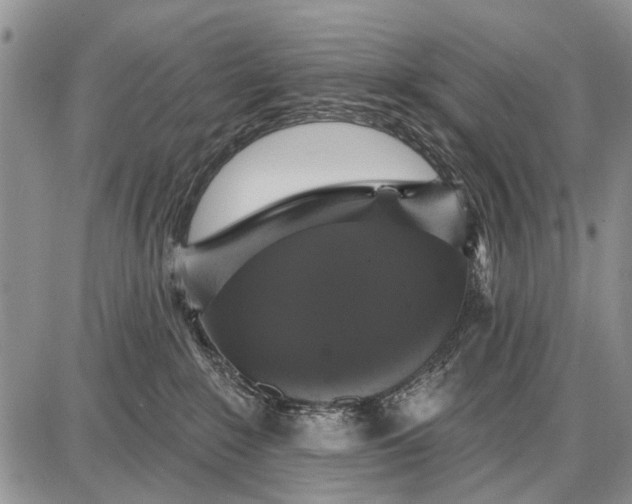 X0000087700235200705181827