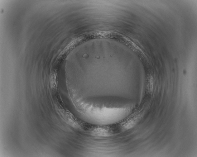 X0000087700236200705181827