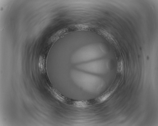 X0000087700238200705181827