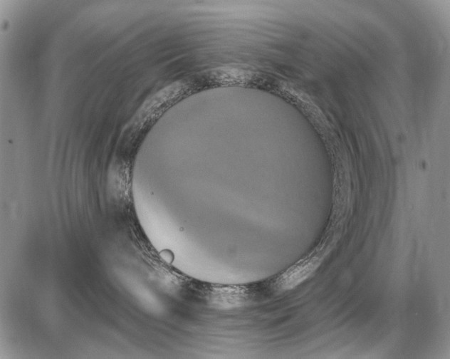 X0000087700240200705181827