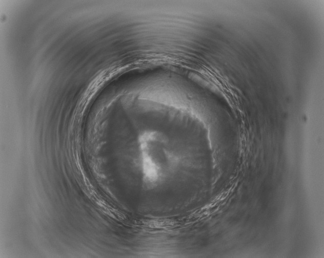 X0000087700241200705181826