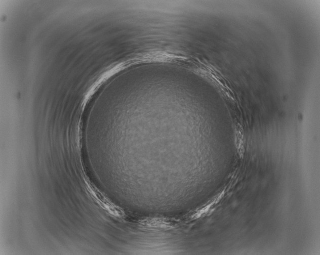 X0000087700244200705181827