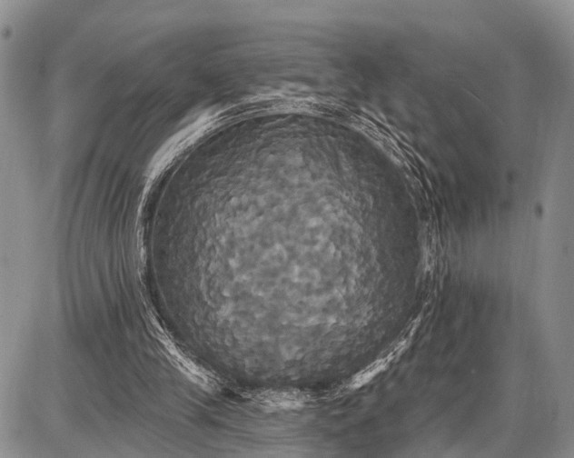 X0000087700245200705181827