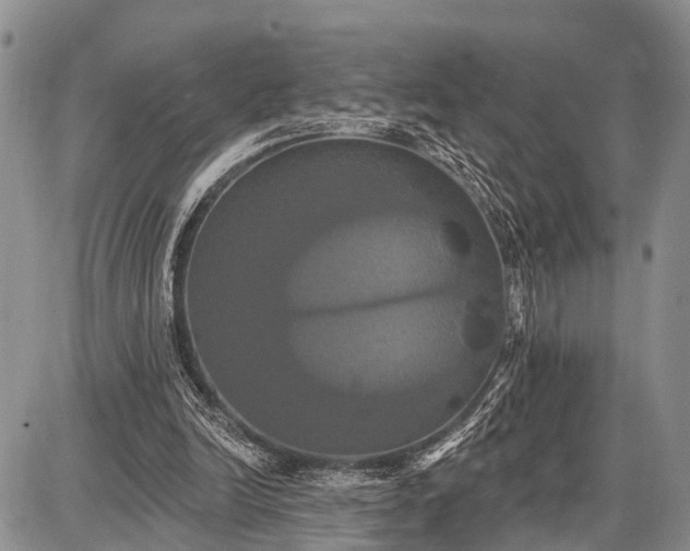 X0000087700246200705181827