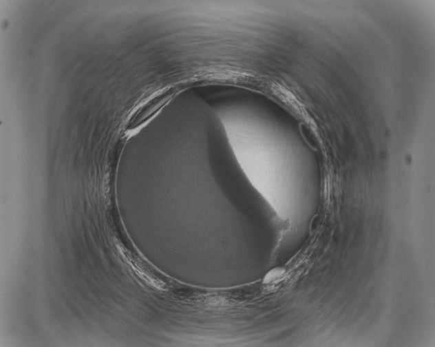 X0000087700249200705181827