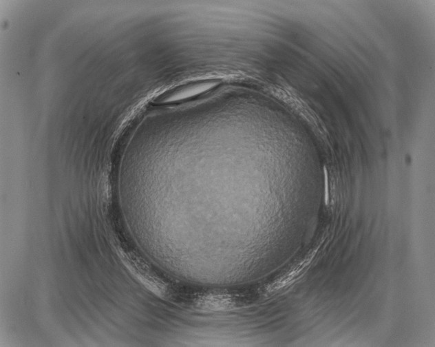 X0000087700252200705181827