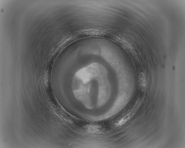 X0000087700255200705181827