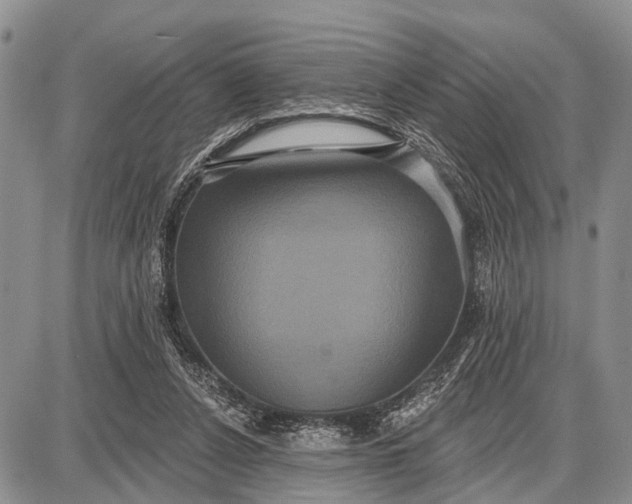 X0000087700256200705181827