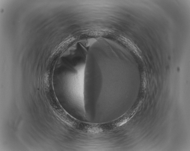 X0000087700258200705181827