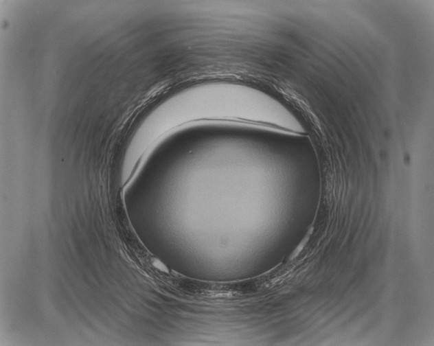 X0000087700260200705181827