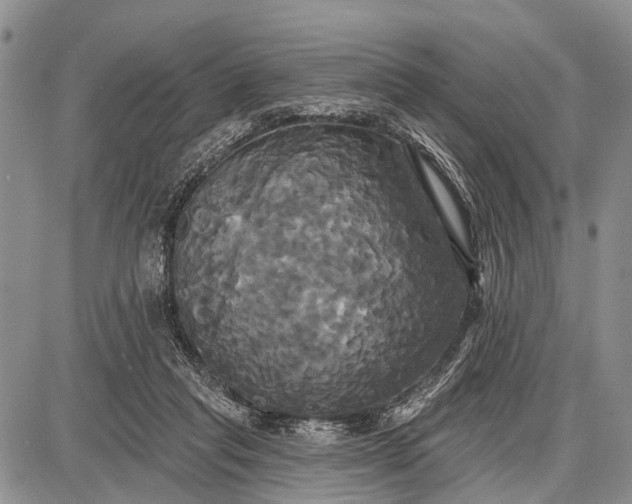 X0000087700261200705181827