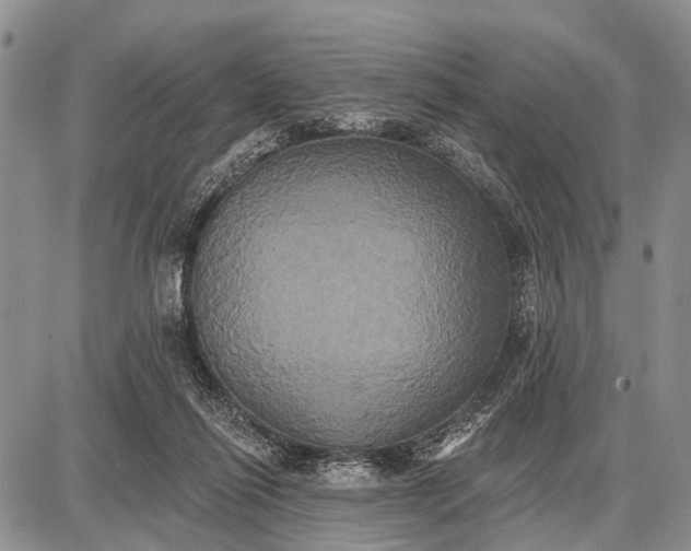 X0000087700262200705181827