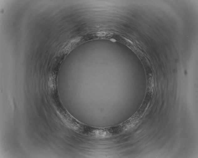 X0000087700272200705181827