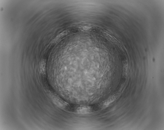 X0000087700274200705181827