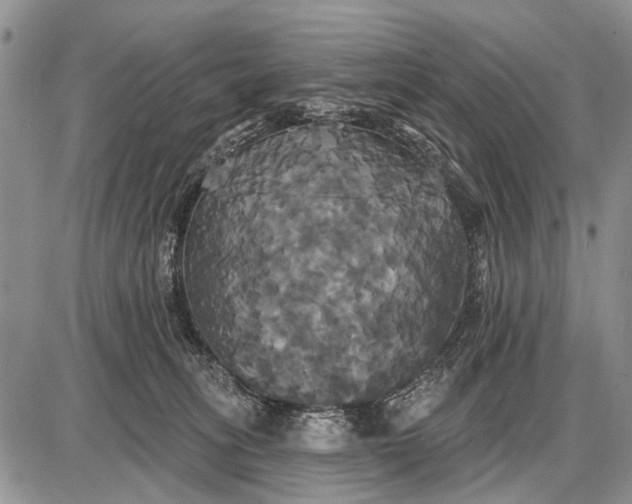 X0000087700275200705181827