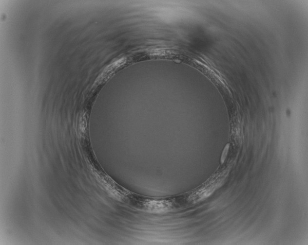 X0000087700277200705181827