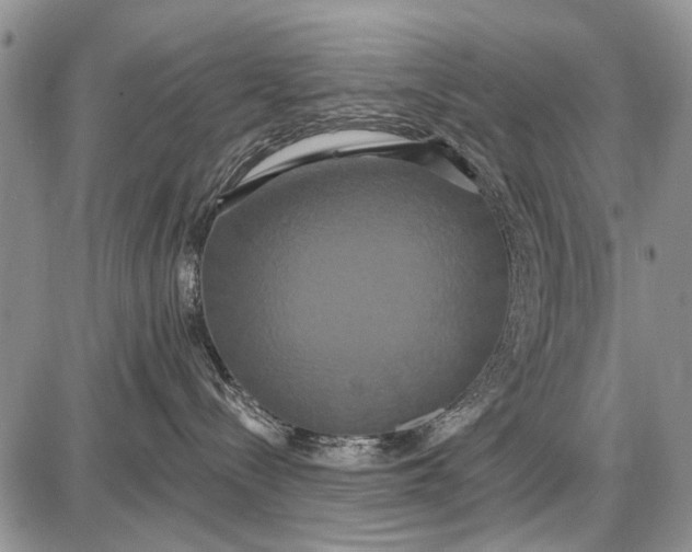 X0000087700288200705181827