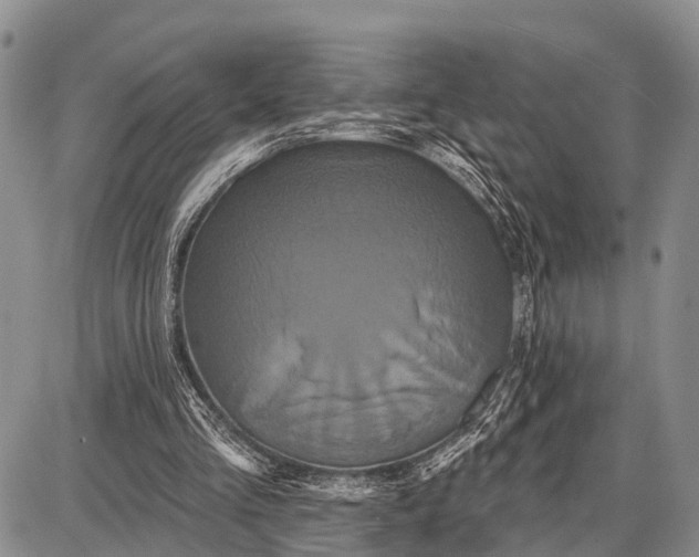 X0000087700293200705181826