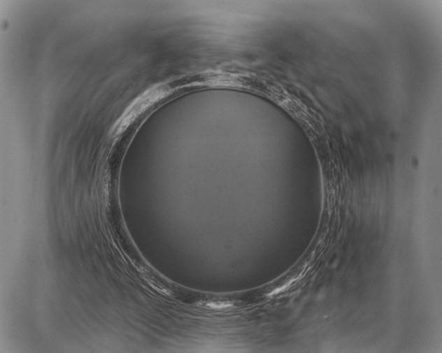 X0000087700295200705181826