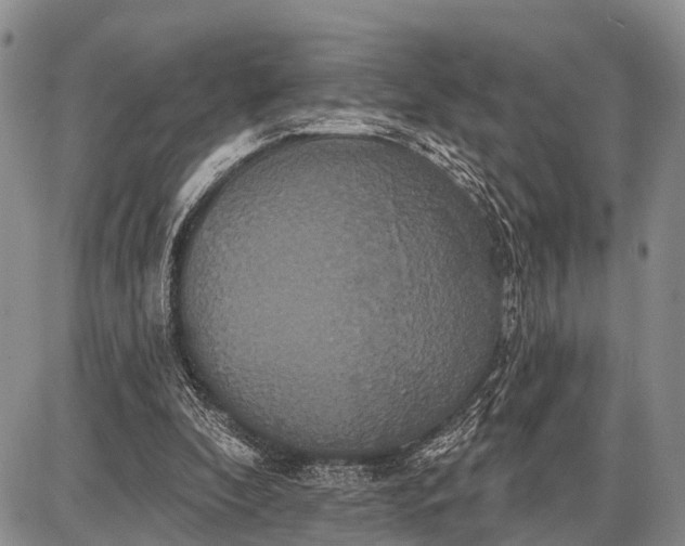 X0000087700296200705181826