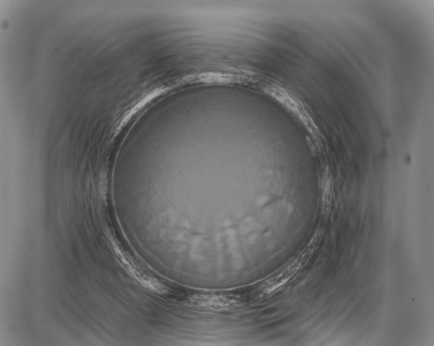 X0000087700297200705181826