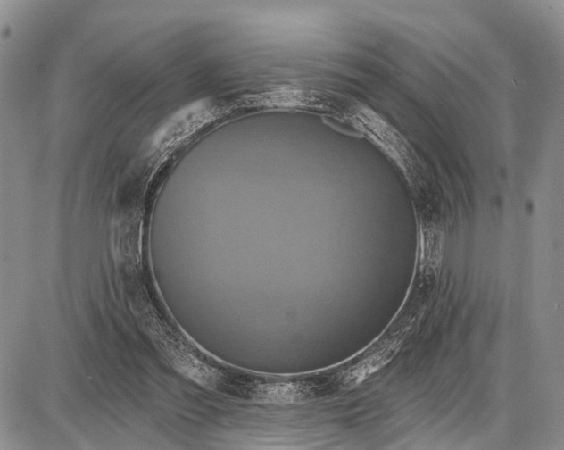 X0000087700301200705181826