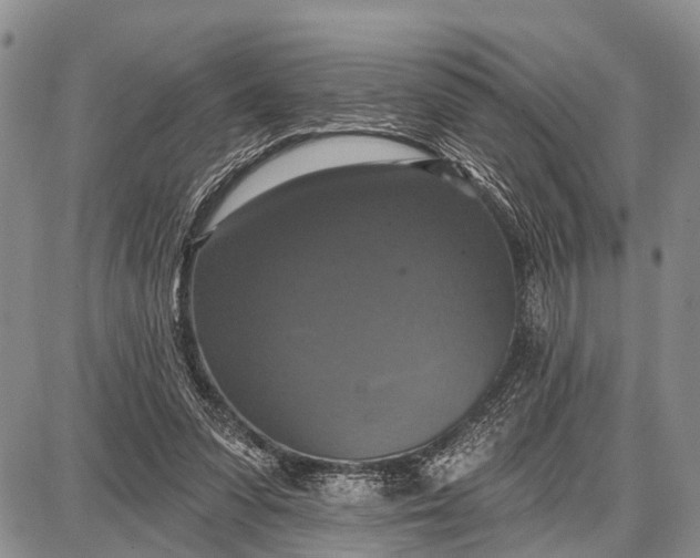 X0000087700303200705181826