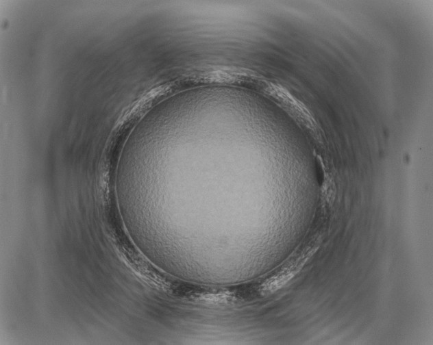 X0000087700306200705181826