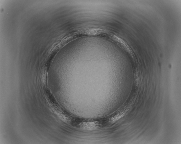 X0000087700307200705181826