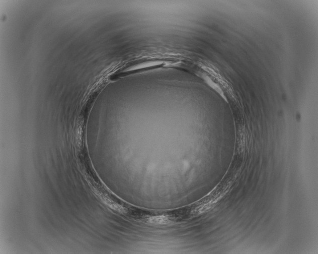 X0000087700309200705181826