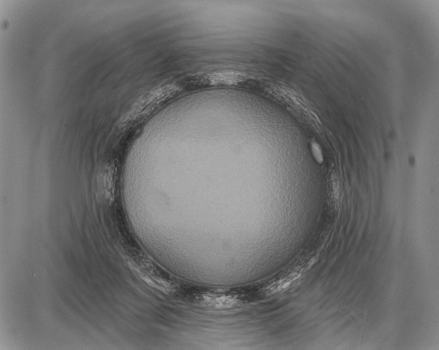 X0000087700311200705181826