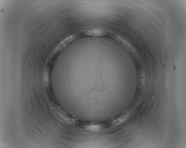 X0000087700312200705181826