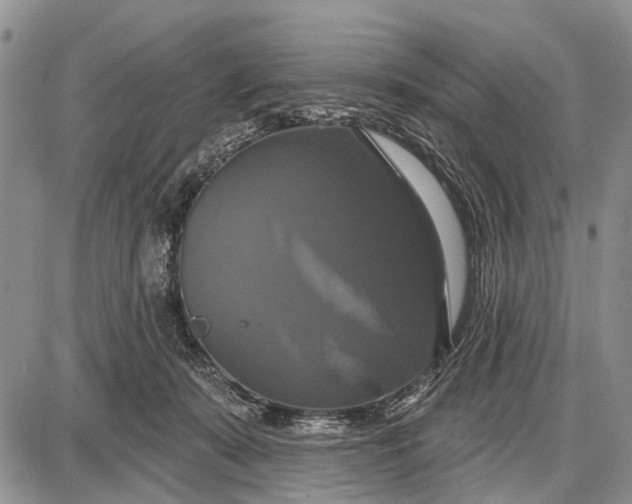 X0000087700319200705181826