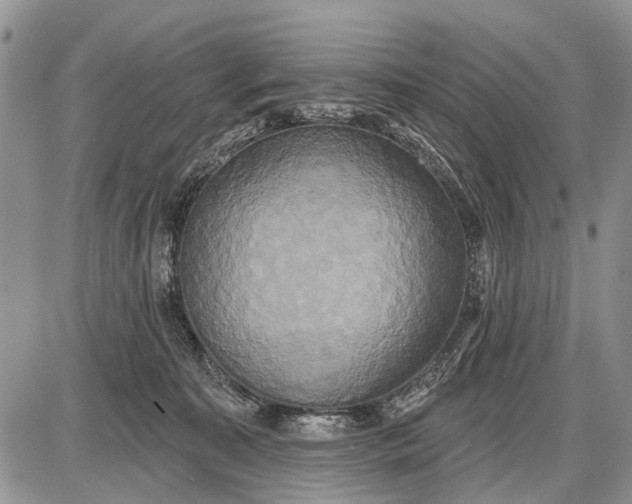 X0000087700323200705181826