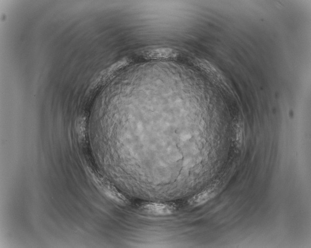 X0000087700326200705181826