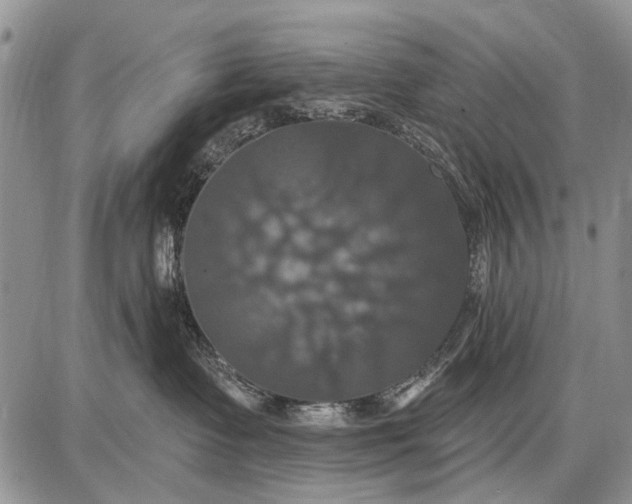 X0000087700335200705181826