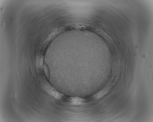 X0000087700336200705181826